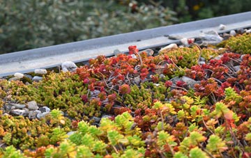 the cost of Kersey green roof installation
