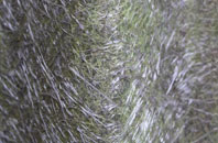 Kersey fibreglass roof work